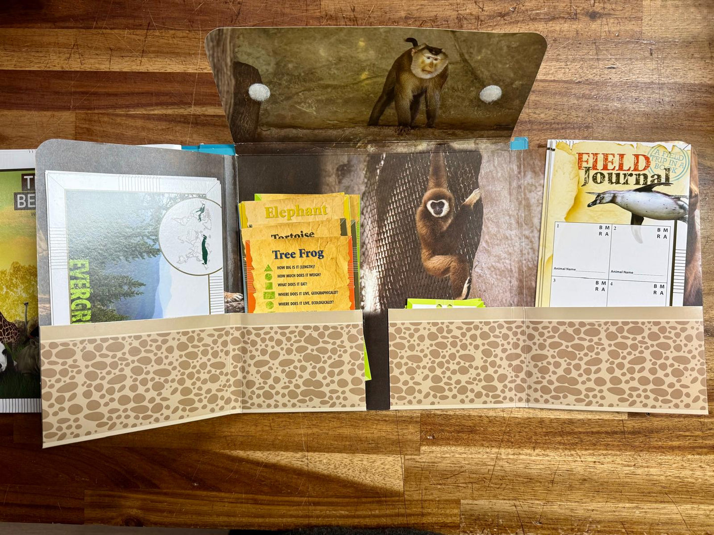 The Complete Zoo Adventure: Field Trip in a Book - Good