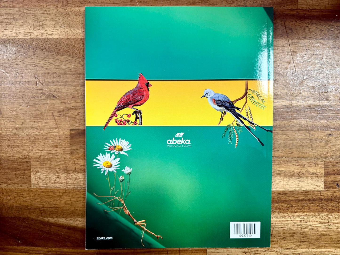 Abeka Understanding God's World Activity Book Key 4th Ed