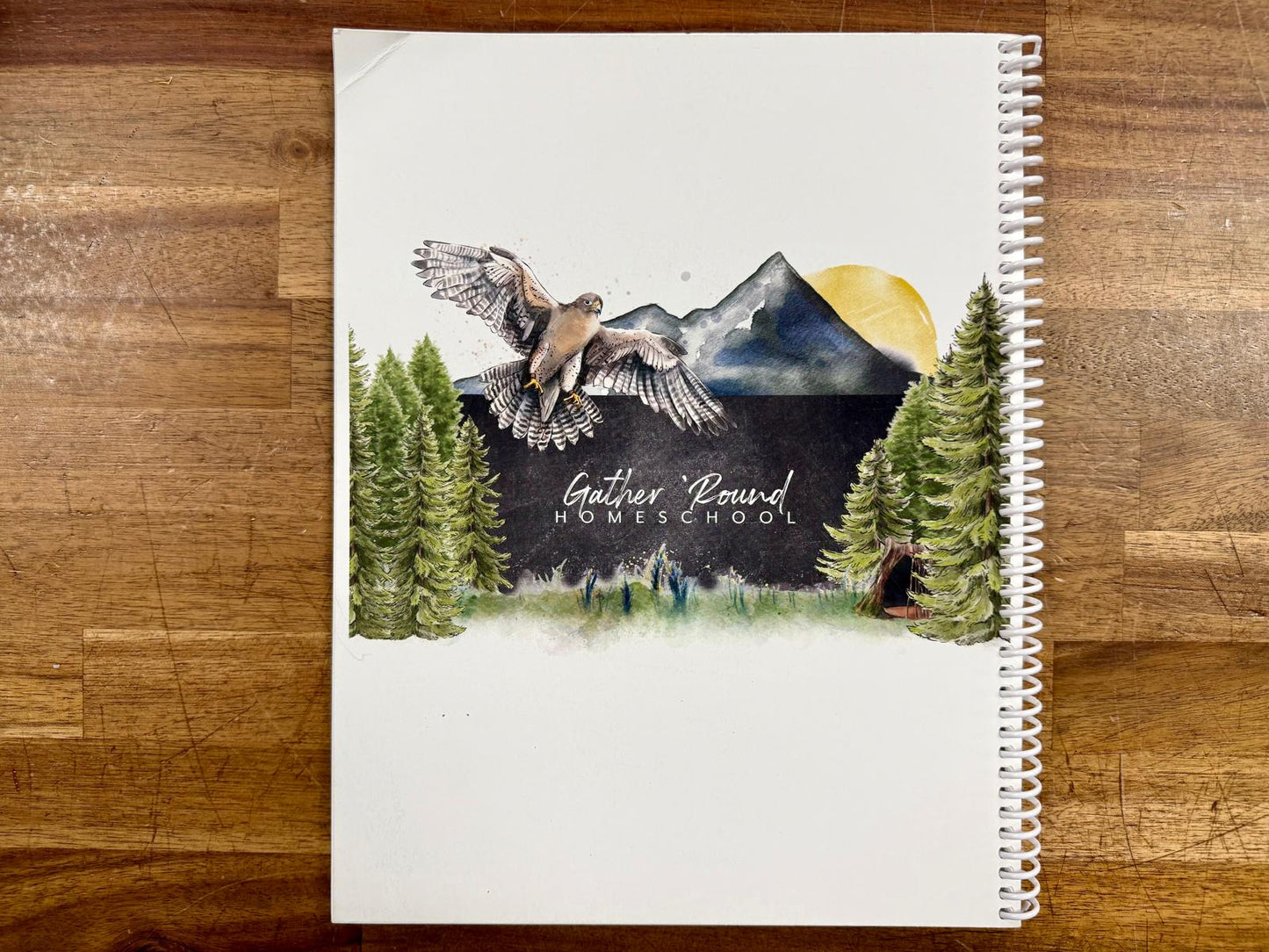 Gather Round My Side of the Mountain Upper Elementary - Like New