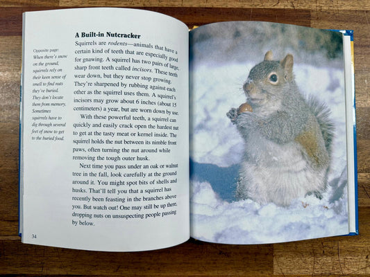 Getting to Know... Nature's Children Squirrels & Frogs