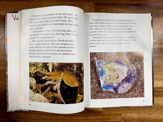 BJU Science 3 for Christian schools - Watkins (1996), HC