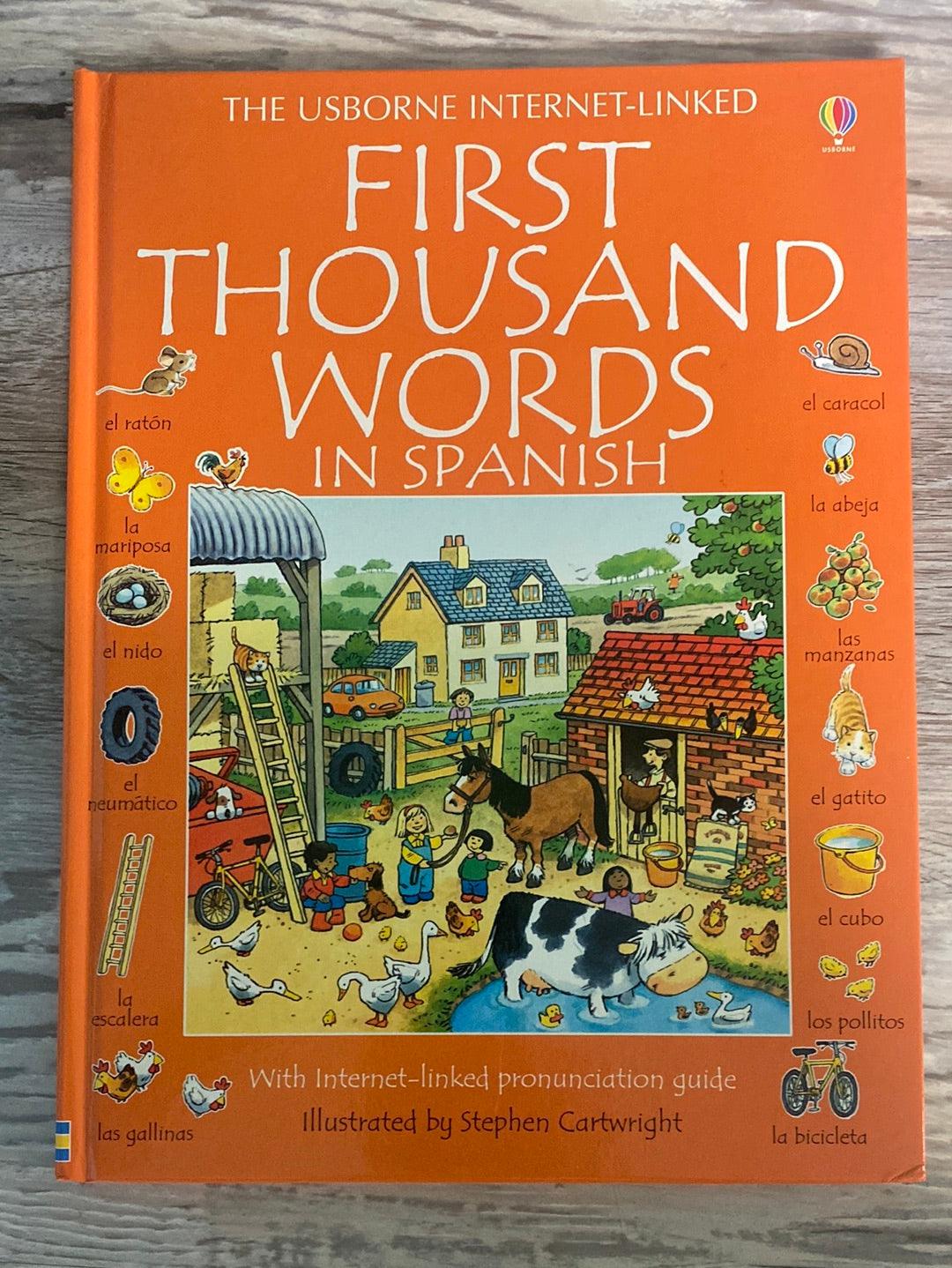Usborne First Thousand Words in Spanish + Workbook