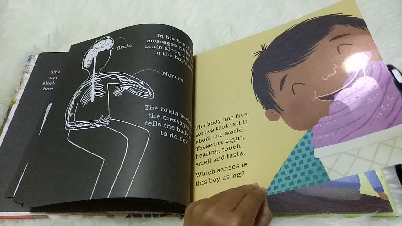 The Human Body (Shine-A-Light)