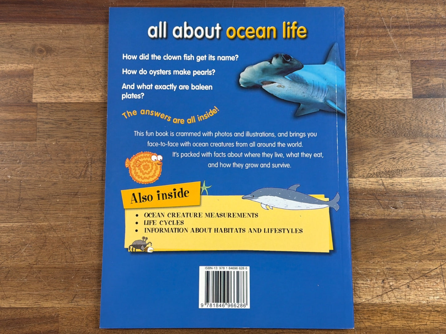 All About Ocean Life - TickTock Educational Book