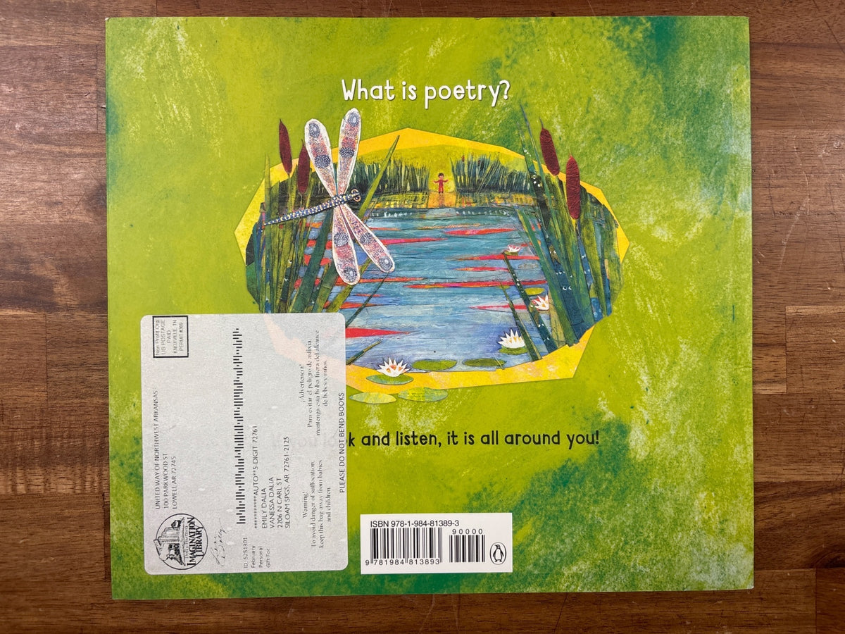 Daniel Finds a Poem by Micha Archer Picture Book — photo 2 of 2