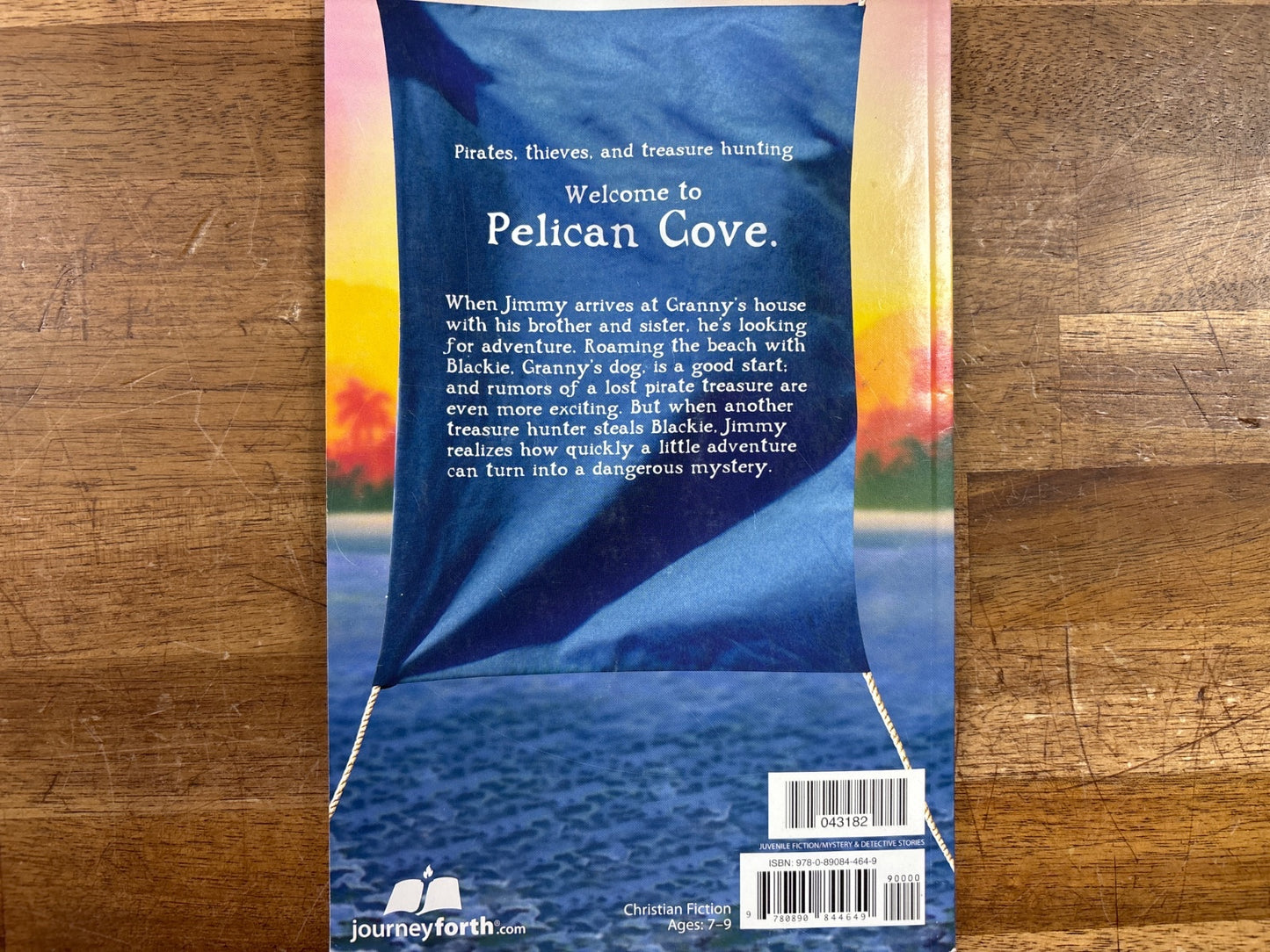 The Treasure of Pelican Cove by Milly Howard - JourneyForth