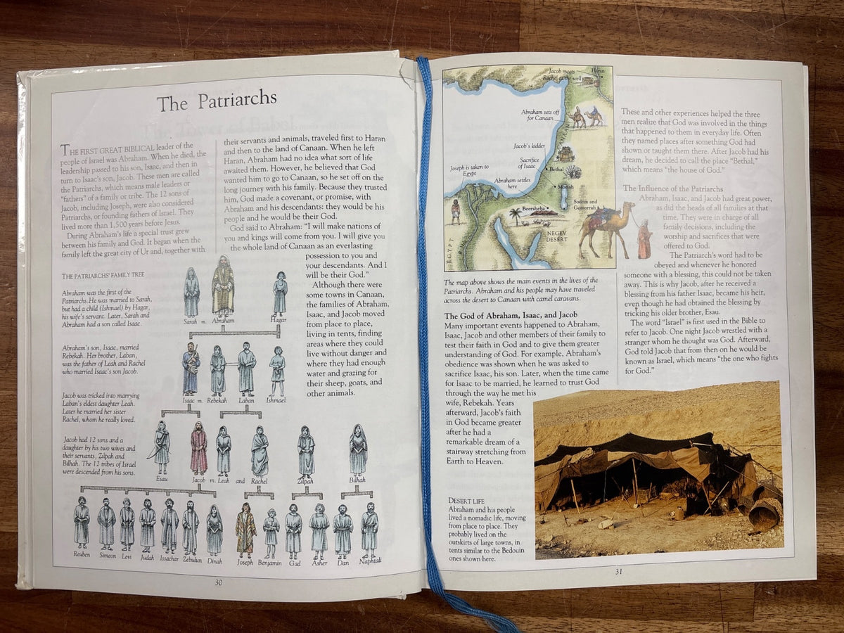 The Children's Illustrated Bible by Selina Hastings, DK