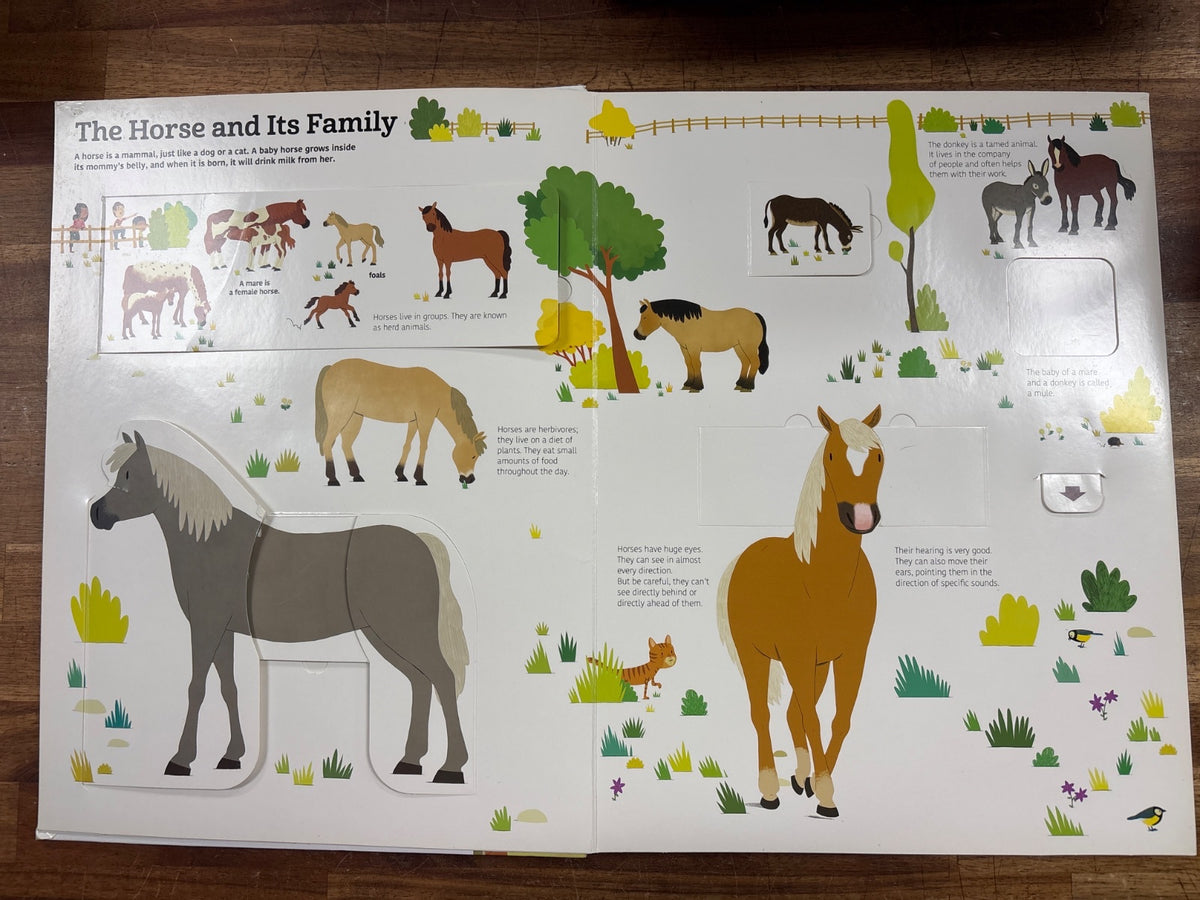 Twirl the Ultimate Book of Horses Interactive Flap Book — photo 3 of 3