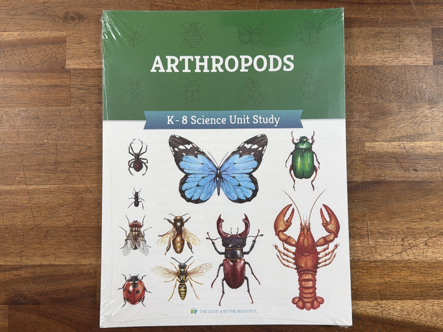 Good and the Beautiful Ecosystems & Arthropods K-8 Science (NEW)