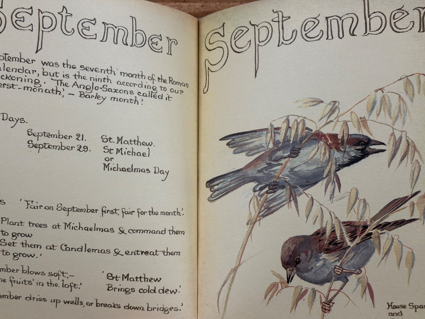 The Country Diary of an Edwardian Lady by Edith Holden