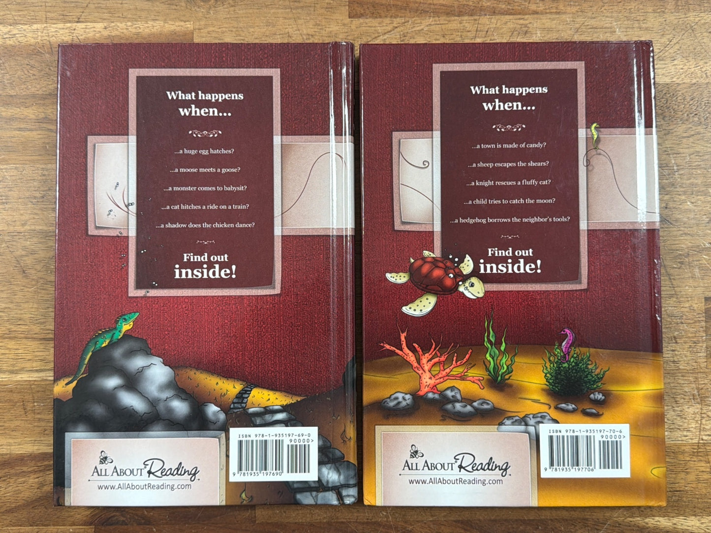 All About Reading & Spelling Level 3 Teacher Manuals Set