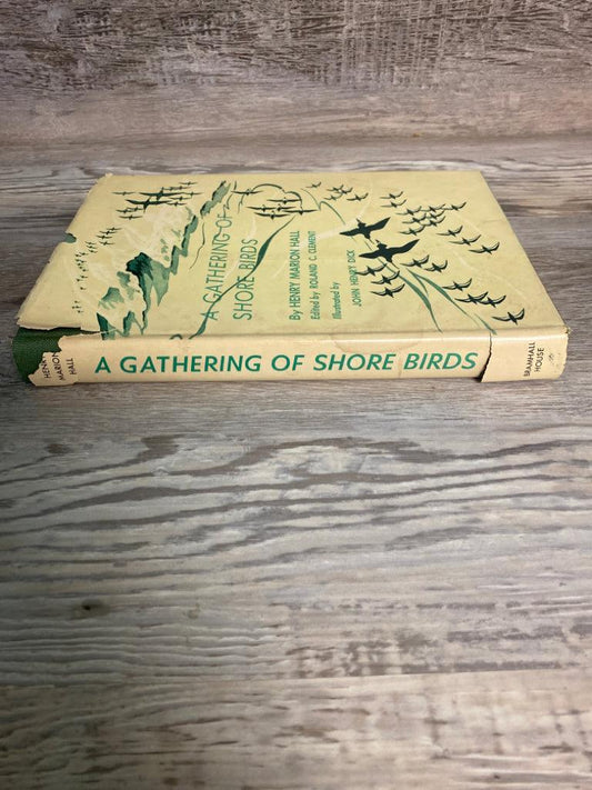 A Gathering of Shore Birds by Henry Marion Hall