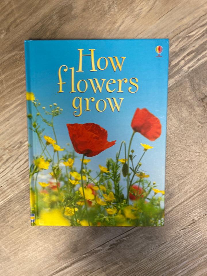 Usborne Beginners How Flowers Grow