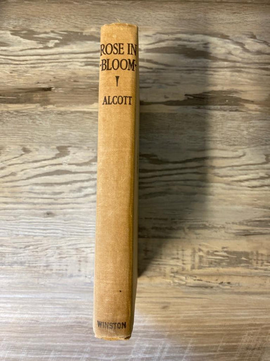 Rose in Bloom by Louisa May Alcott