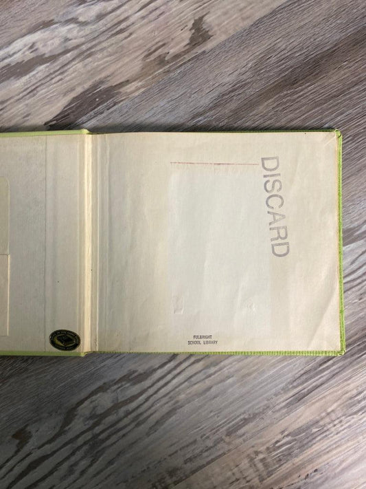 The Rabbit's World by Miriam Schlein