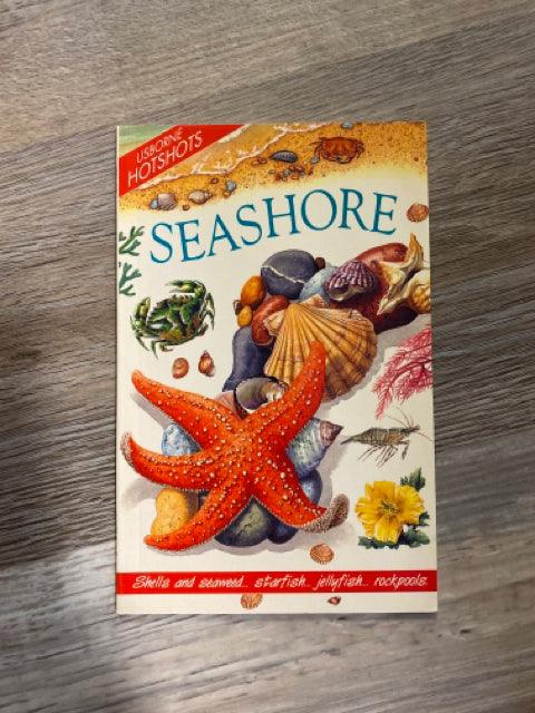 Usborne Hotshots, Seashore #26 - First Homeschool