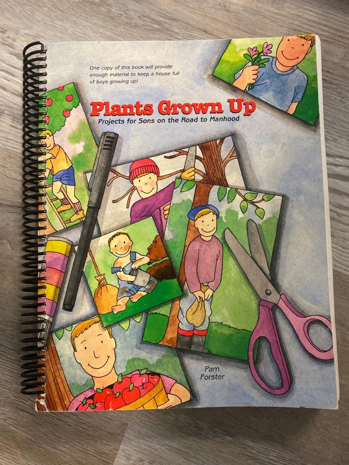 Plants Grow Up by Pam Forster