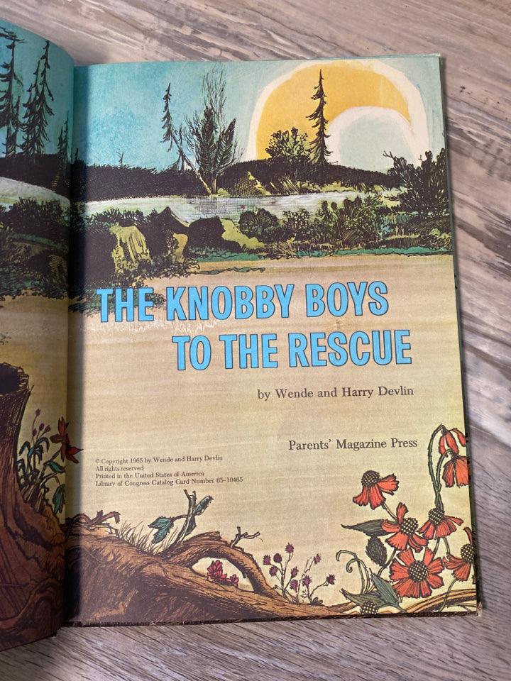 The Knobby Boys to the Rescue by Wende and Harry Delvin