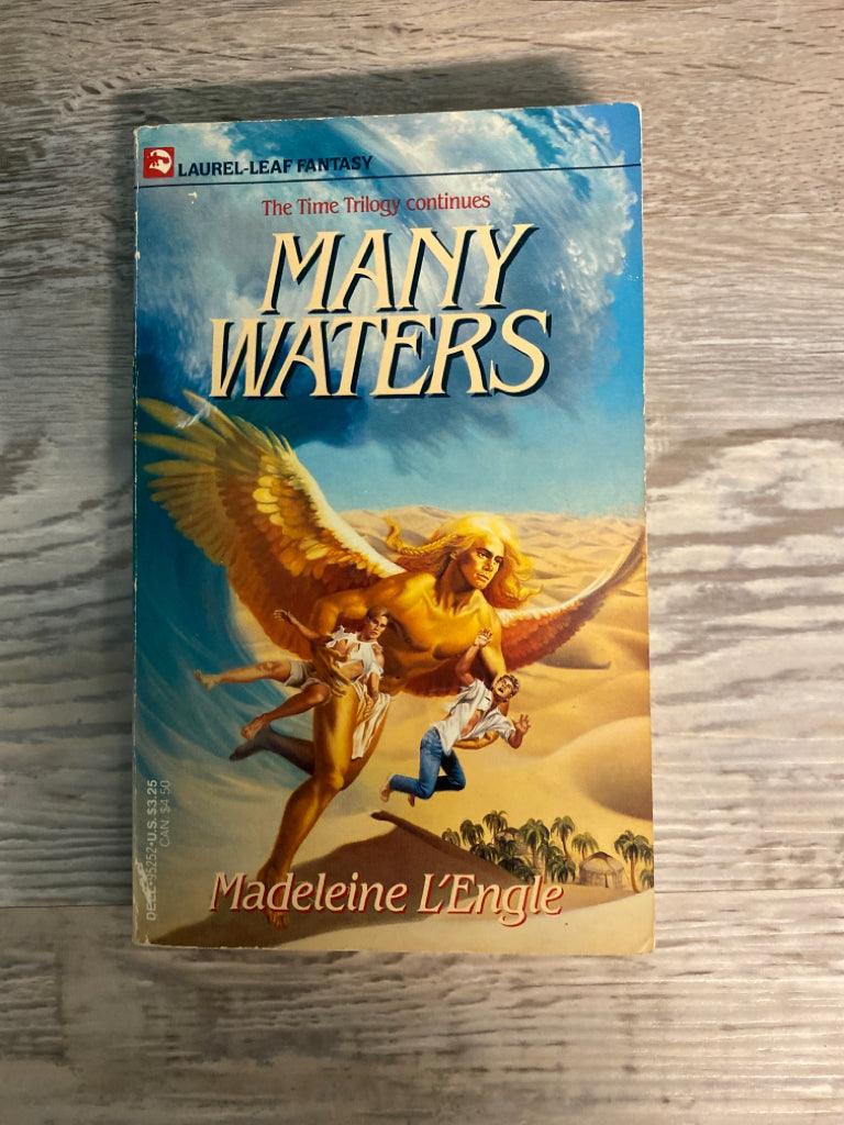 Many Waters by Madeleine L'Engle