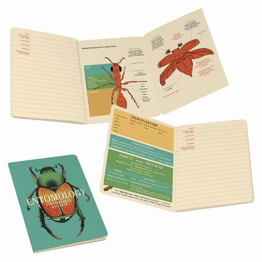 Entomology, A Naturalist's Notebook - First Homeschool