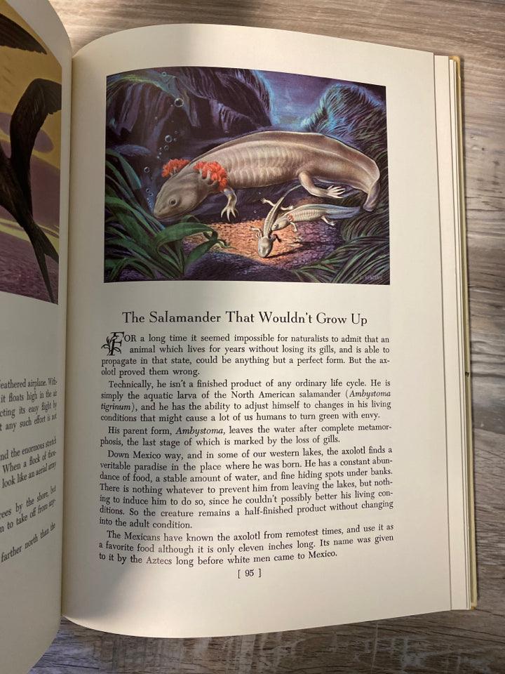 Nature's Ways by Roy Chapman Andrews