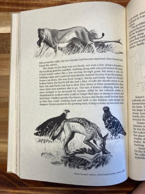 Lions Share - First Homeschool