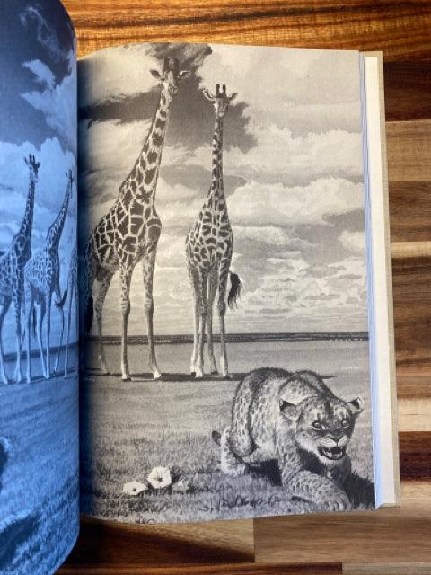 Lions Share - First Homeschool