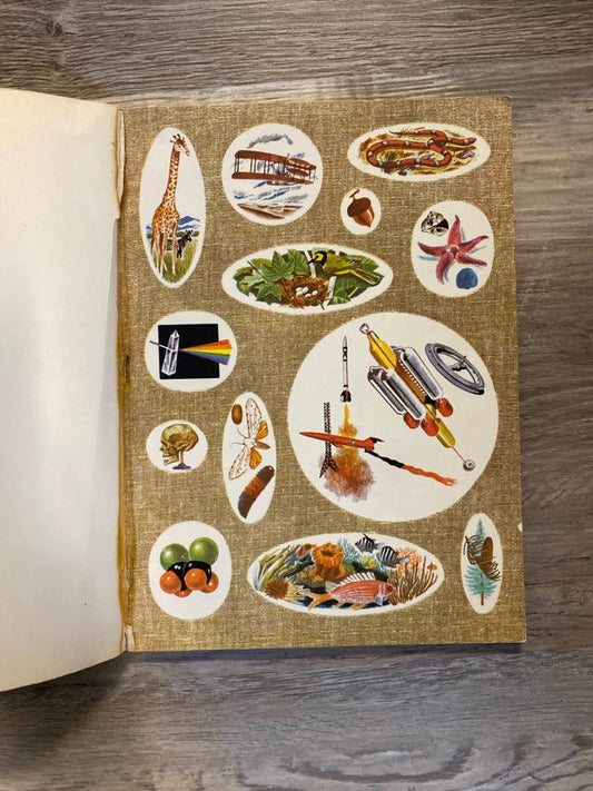 Nature Walks by Golden Press