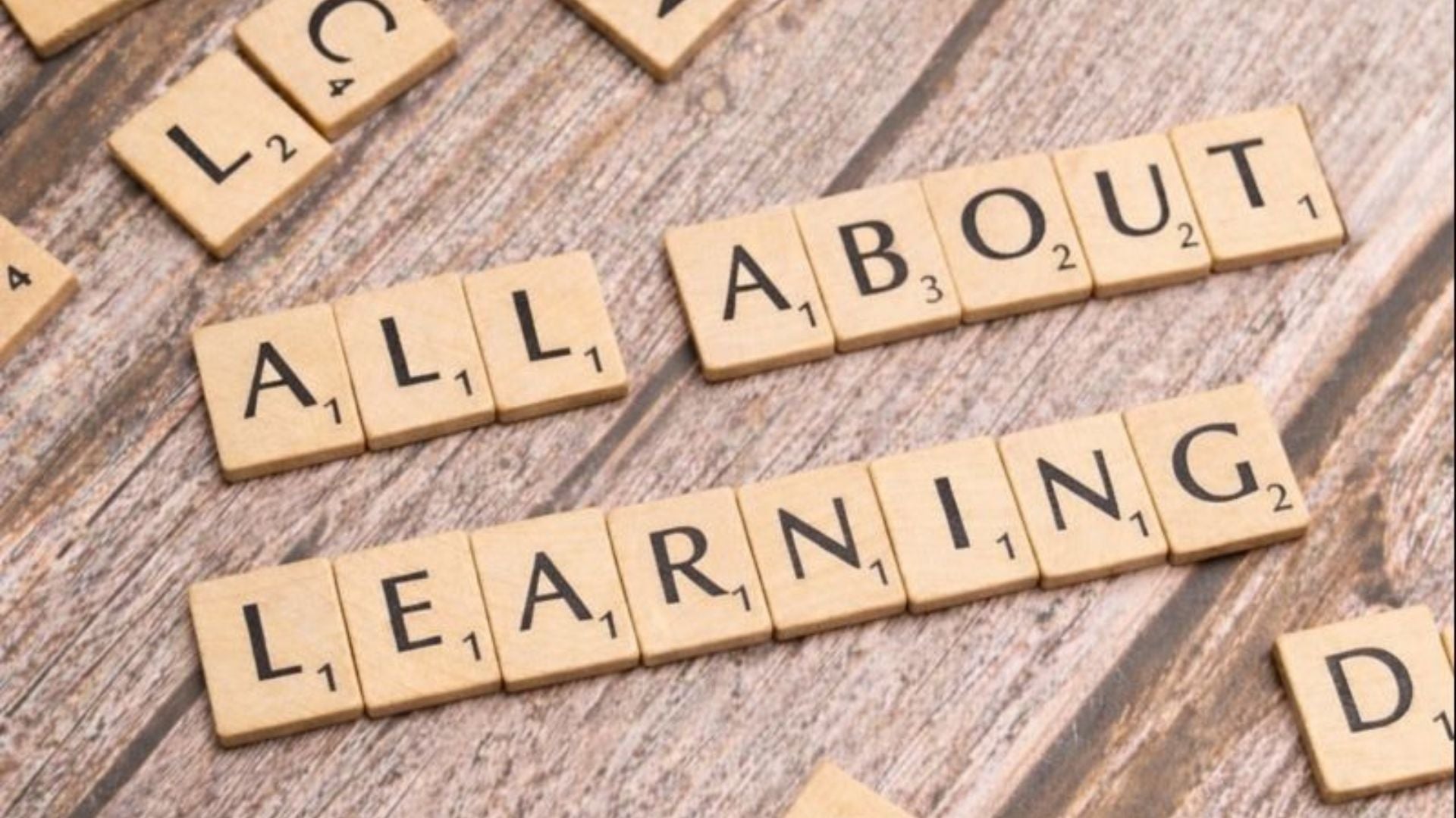 All About Learning Press Review: Can You Use It for Struggling Readers?