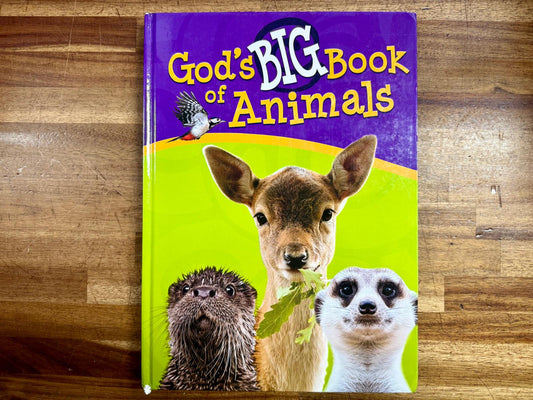 God's Big Book of Animals by Orit Kashtan - Very Good