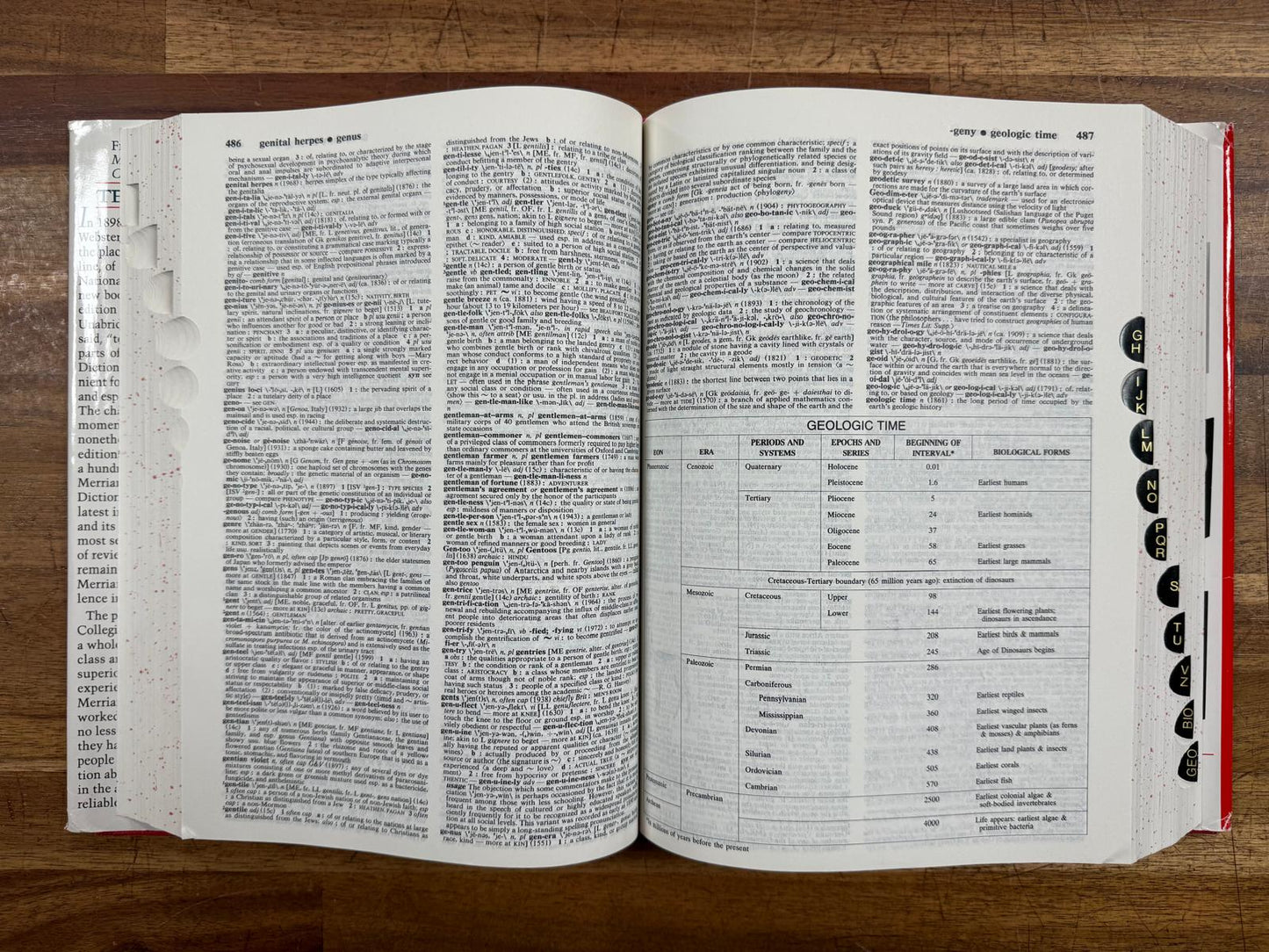 Merriam-Webster's Collegiate Dictionary 10th Ed - HC, VG