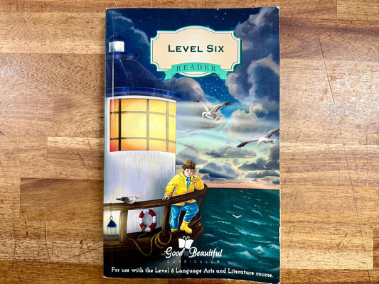 TGTB Level Six Reader - Edge stain, inside Good & Clean