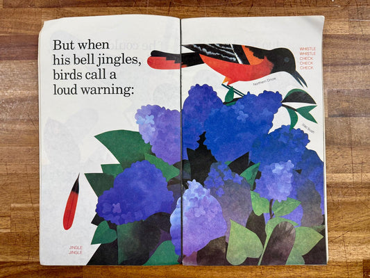 Feathers for Lunch - Lois Ehlert