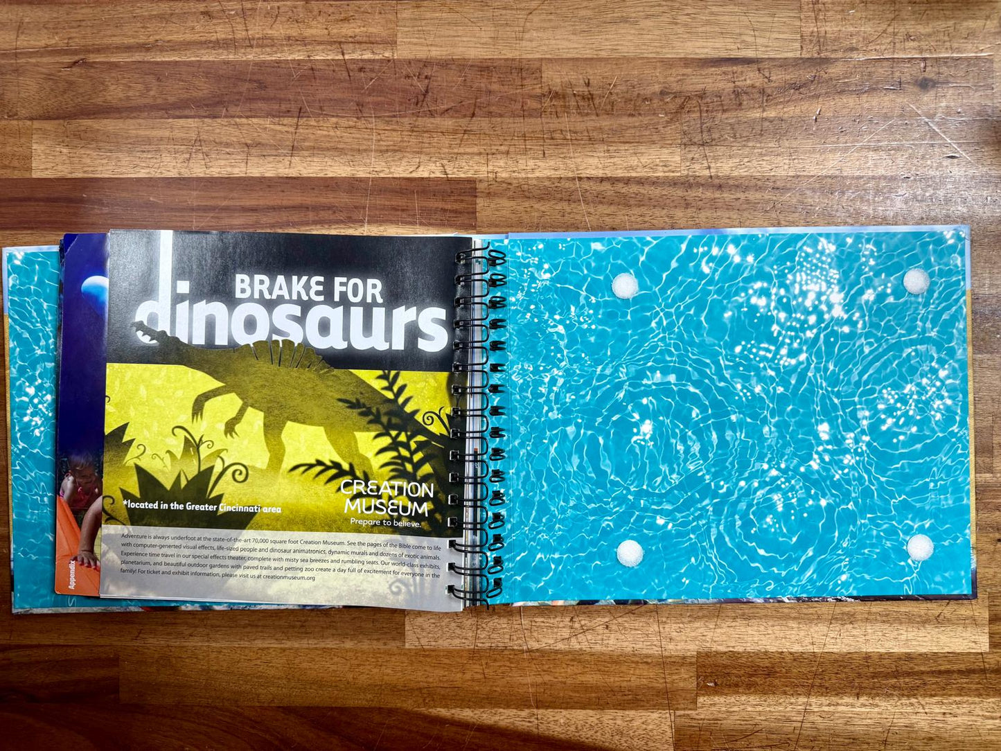 The Complete Aquarium Adventure: Field Trip in a Book - No Cards