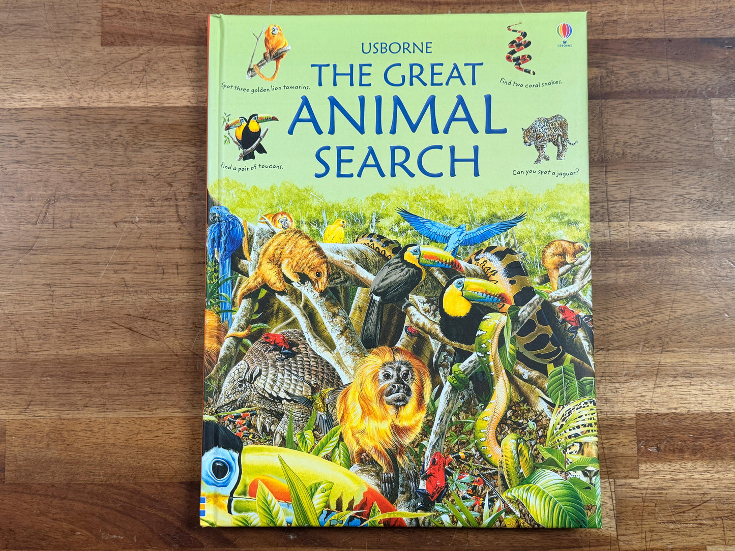Usborne The Great Animal Search