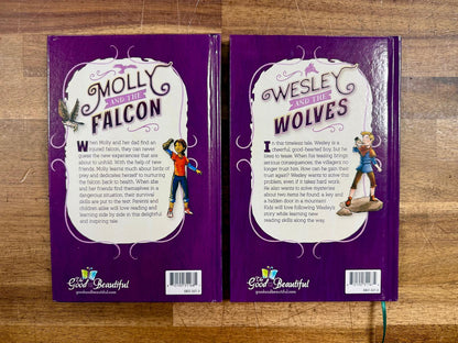 TGTB Reading Booster C Cards & Readers Set of 4 - Good