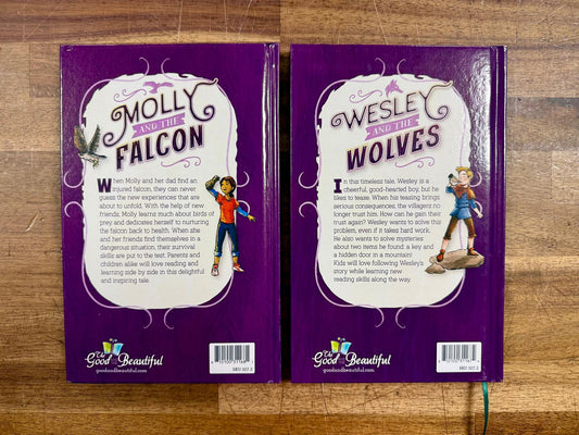 TGTB Reading Booster C Cards & Readers Set of 4 - Good