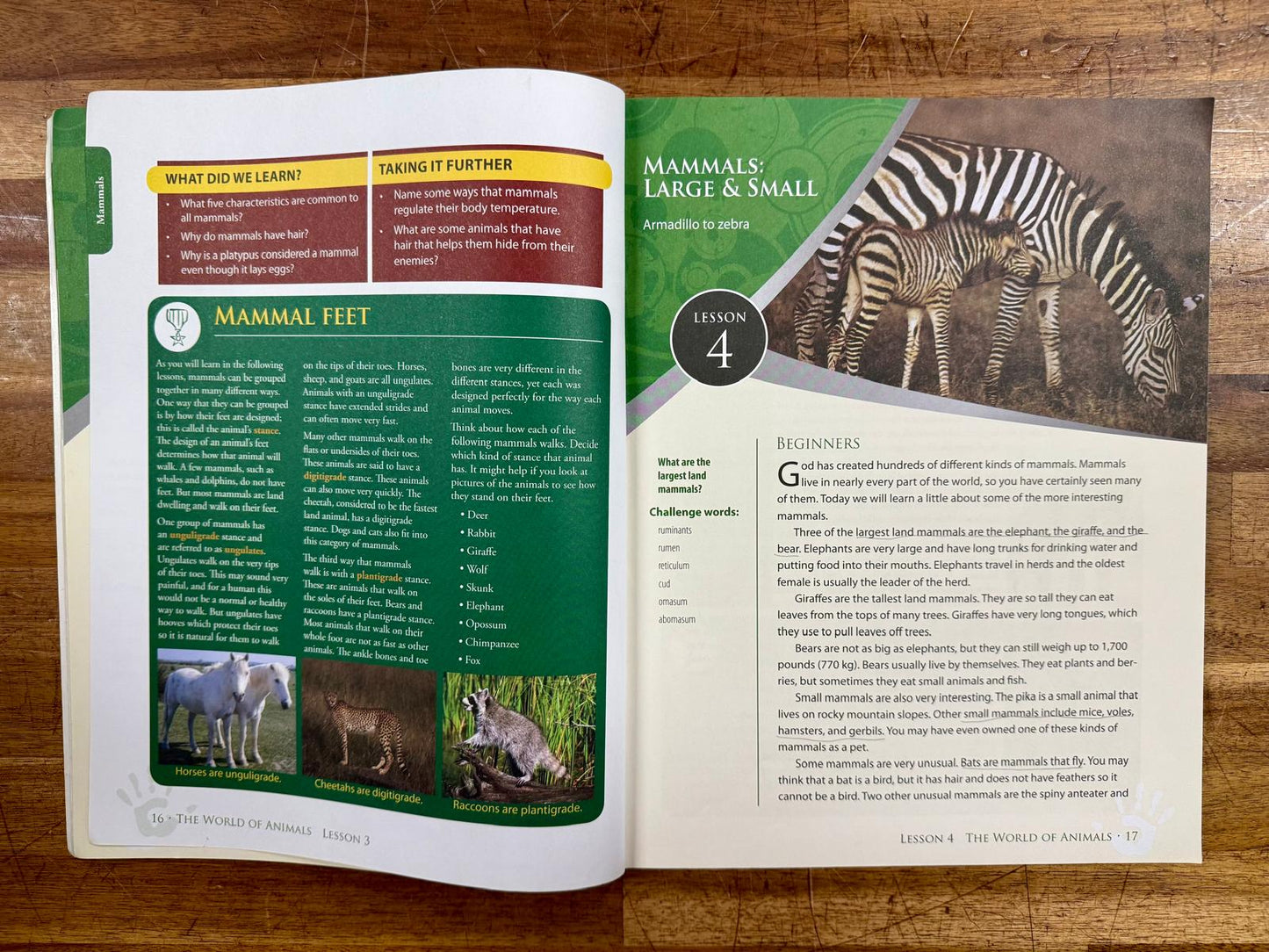 Answers in Genesis God's Design for Life Set of 3