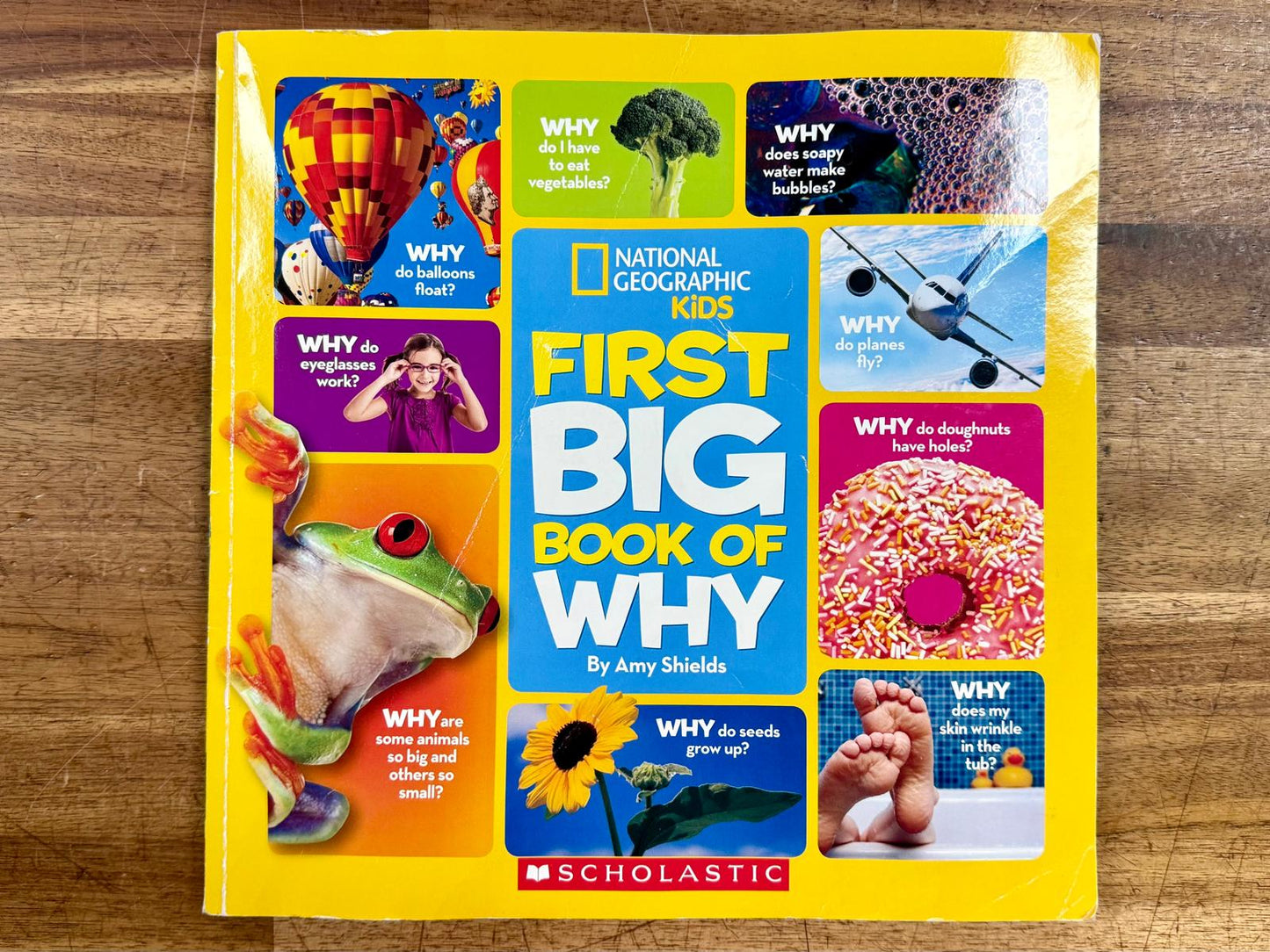 National Geographic Kids First Big Book of Why - Good & Clean