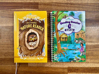 TGTB Reading Booster C Cards & Readers Set of 4 - Good