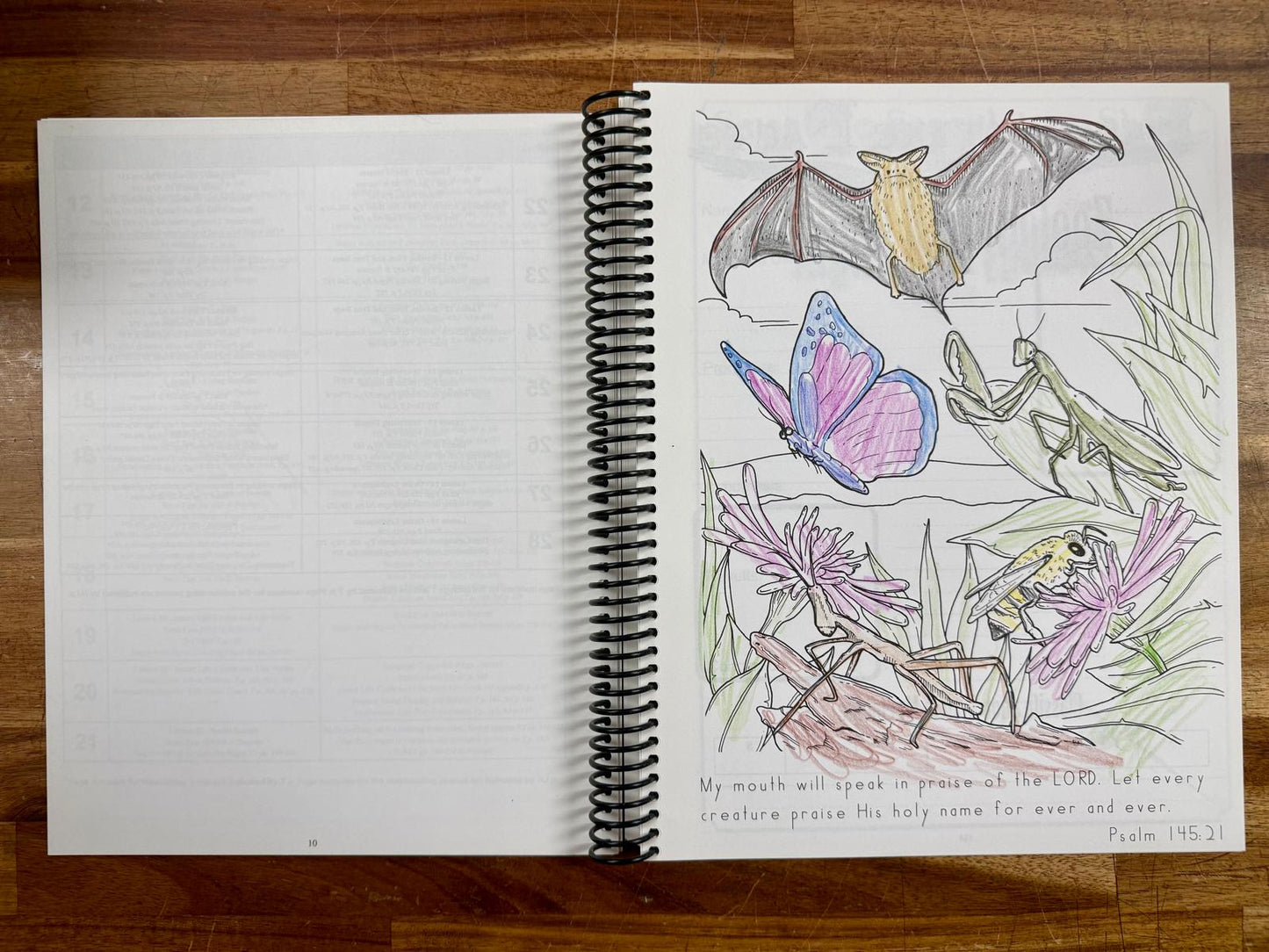 Exploring Creation Zoology 1 Textbook Notebook Journal SET