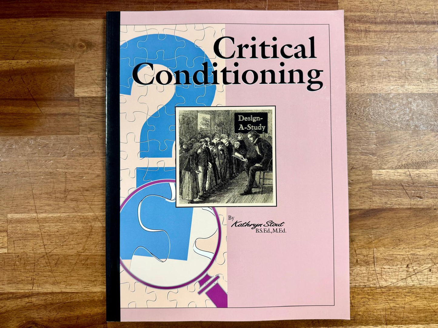 Critical Conditioning by Kathryn Stout