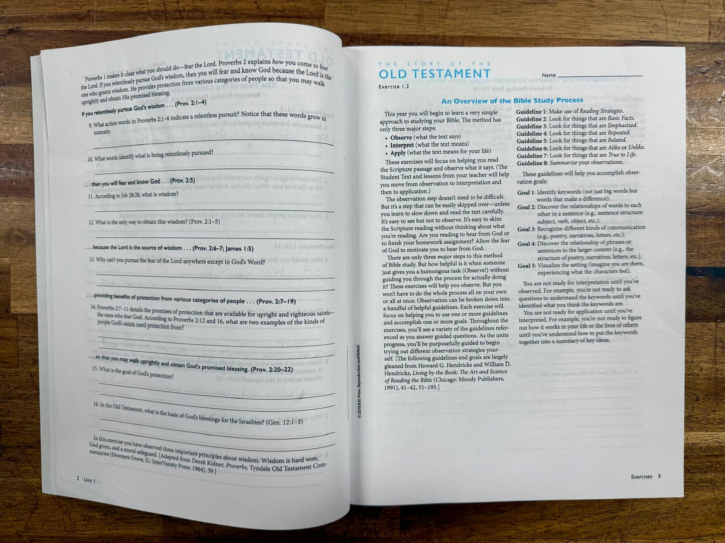 BJU Story of the Old Testament Text, Activities, Video Guide - VG