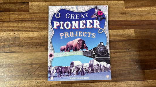 Great Pioneer Projects You Can Build Yourself