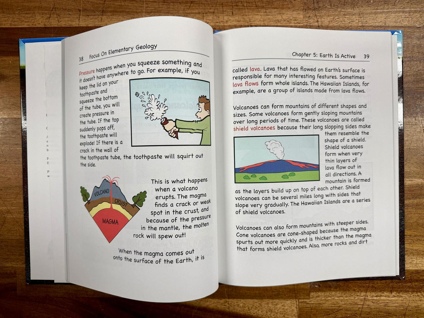 Focus On Elementary Geology Set: Textbook & Lab Workbook