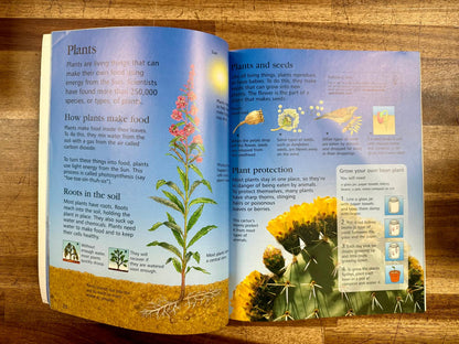Usborne Internet-linked First Encyclopedia of Science