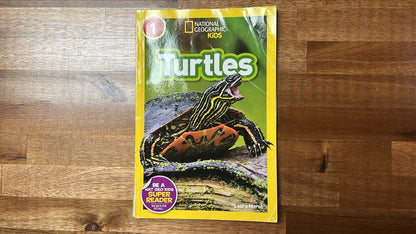 National Geographic Kids Reader Level 1: Turtles