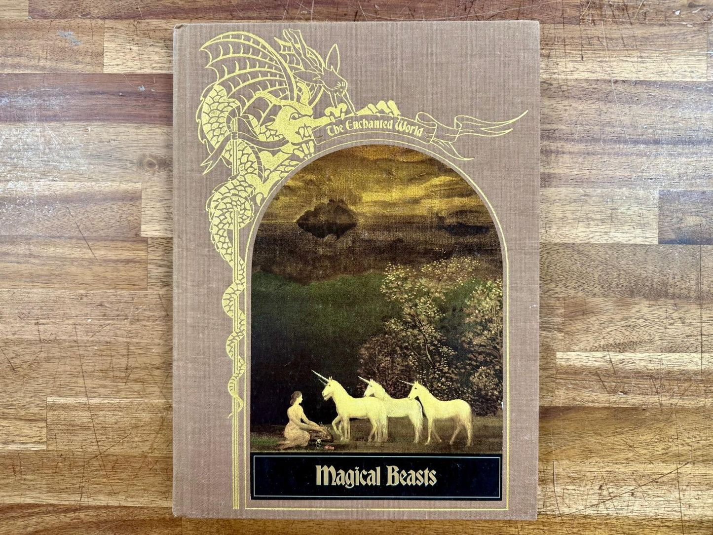 Magical Beasts (Enchanted World Series) - HC, Good