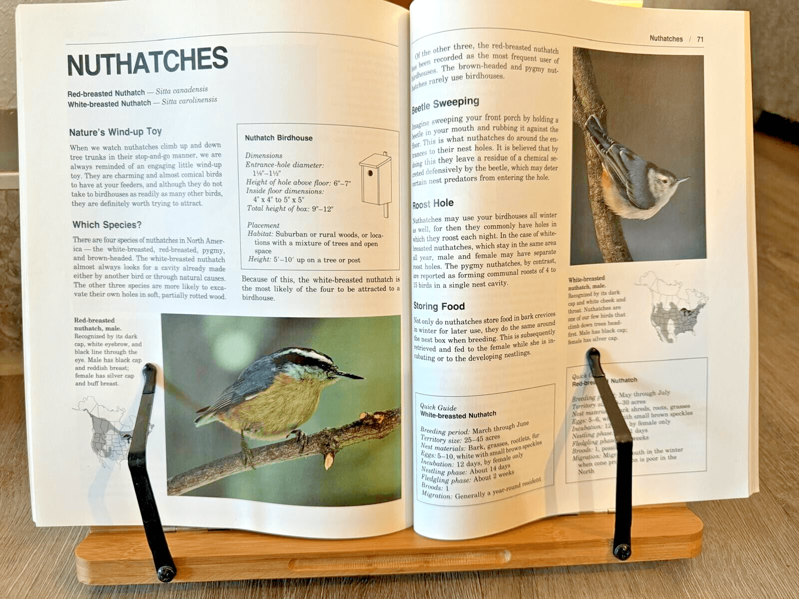 The Complete Birdhouse Book: The Easy Guide to Attracting Nesting Birds