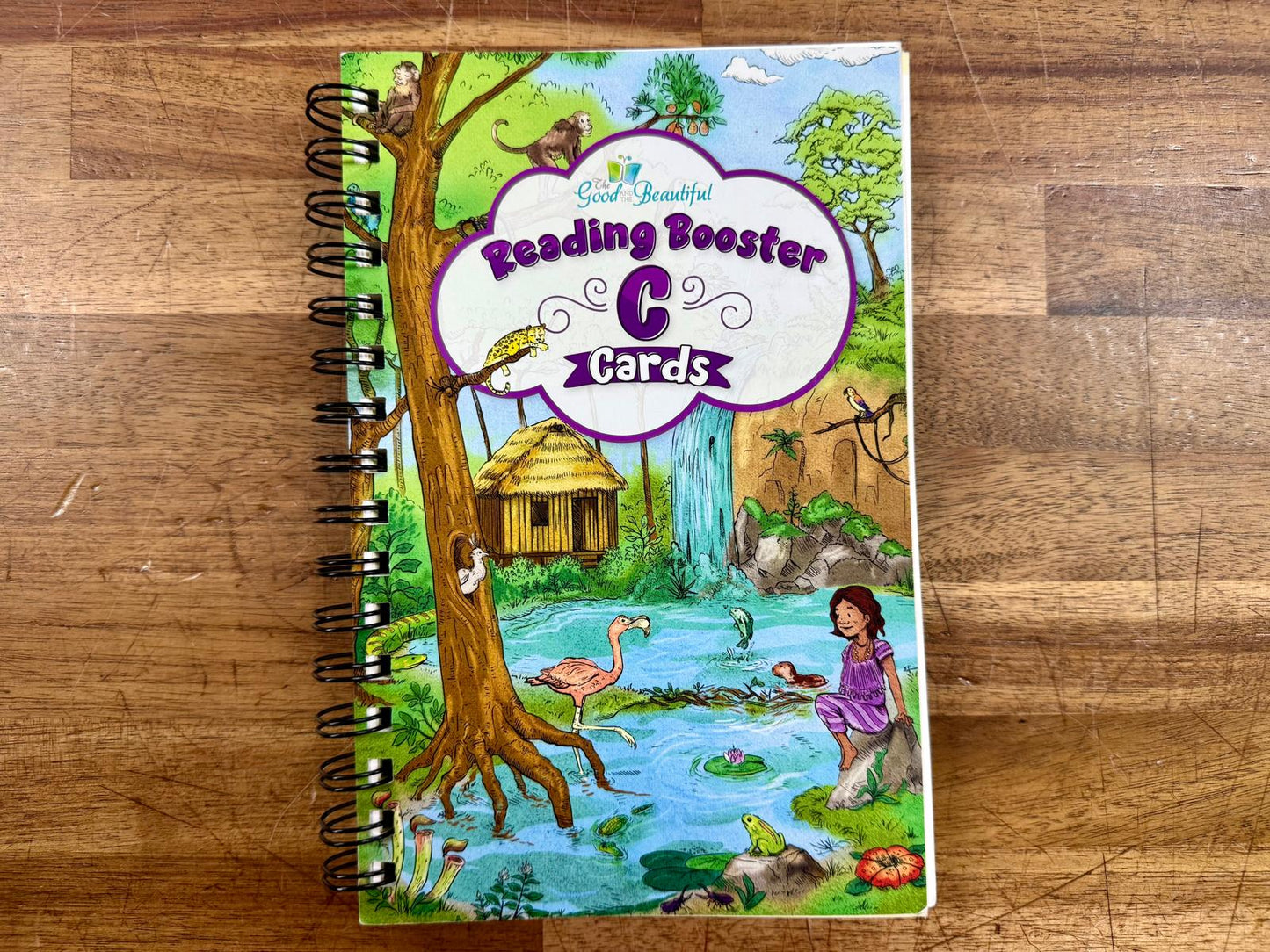 The Good & the Beautiful Reading Booster C Cards